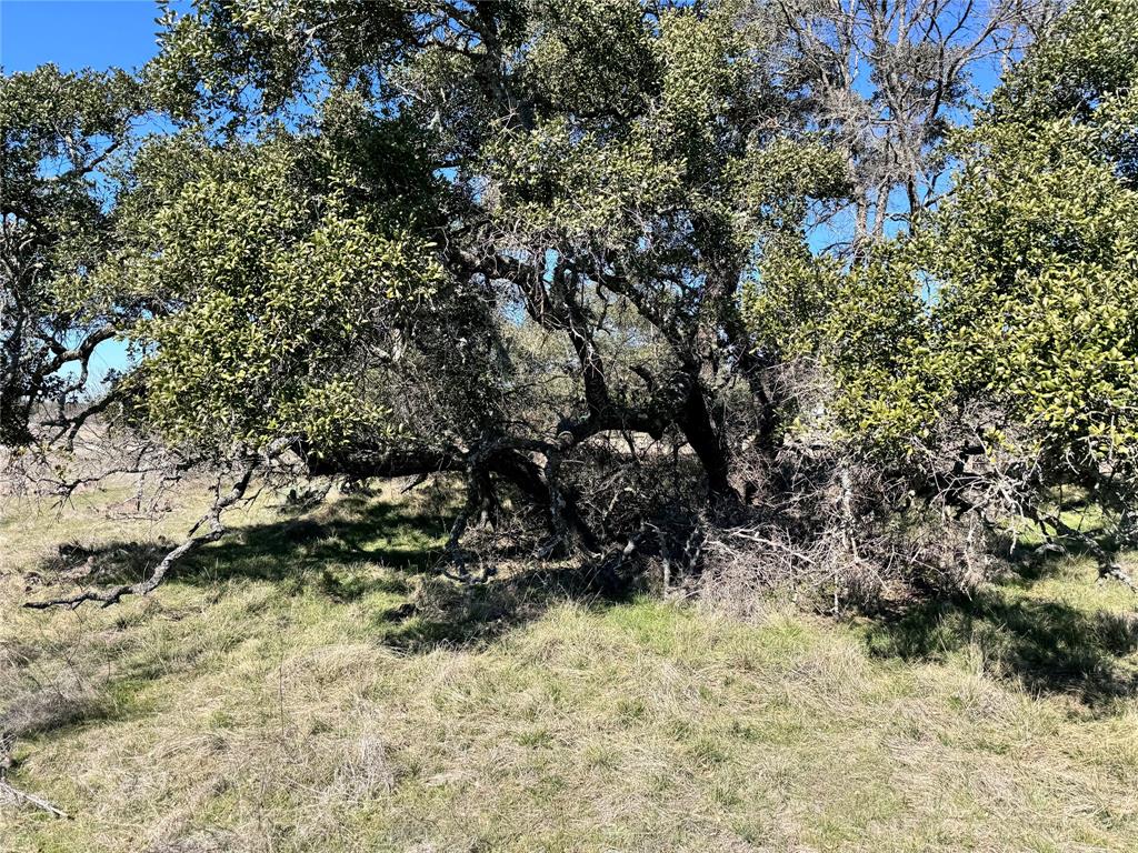 Oak Point Ph One - Land