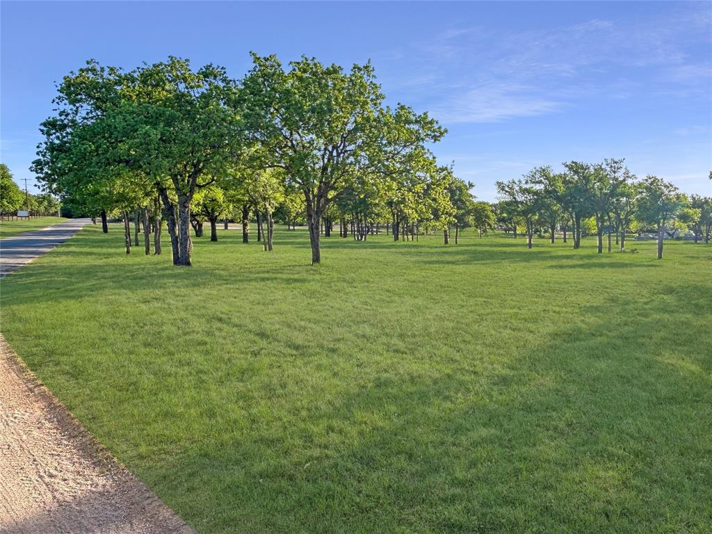 La Mancha - Commercial Sale