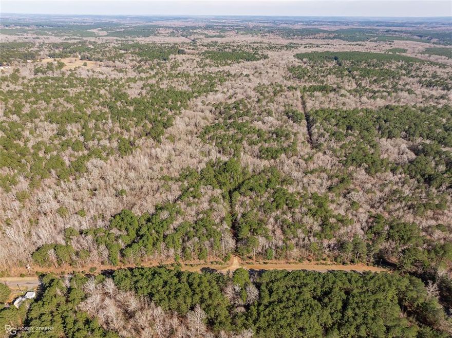 ACREAGE * SOLITUDE * ABUNDANT WILDLIFE * COUNTRY LIVING This approximately 35-acre tract, known as E-5 of the Southern Fuller Cemetery Road series, is a prime opportunity for rural living, outdoor enjoyment, or a smart land investment. Set just 7 miles northeast of Minden, Louisiana, this property offers a beautiful mix of mature hardwoods and pine, winding trails, natural streams, and abundant wildlife—making it ideal for hunting, timber management, or your future homesite. A dedicated servitude will provide convenient and private access, while the property’s rolling terrain and peaceful surroundings create the perfect setting for building your dream home or establishing a recreational getaway. Whether you're an outdoor enthusiast, an investor seeking timber value, or simply dreaming of life in the country, this versatile acreage offers endless potential. Take a drive out and explore all that E-5 has to offer—an affordable, accessible, and scenic piece of Louisiana waiting for your vision.