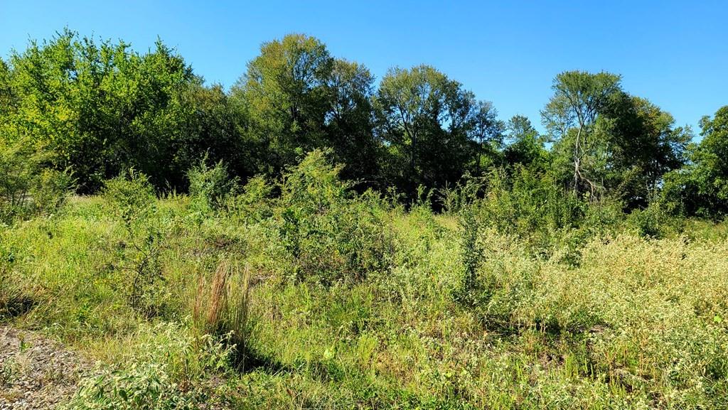 The Ranches at River Ridge - Land