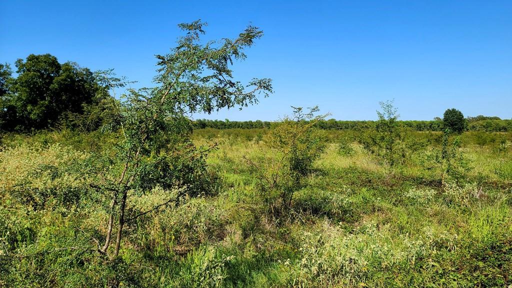 The Ranches at River Ridge - Land