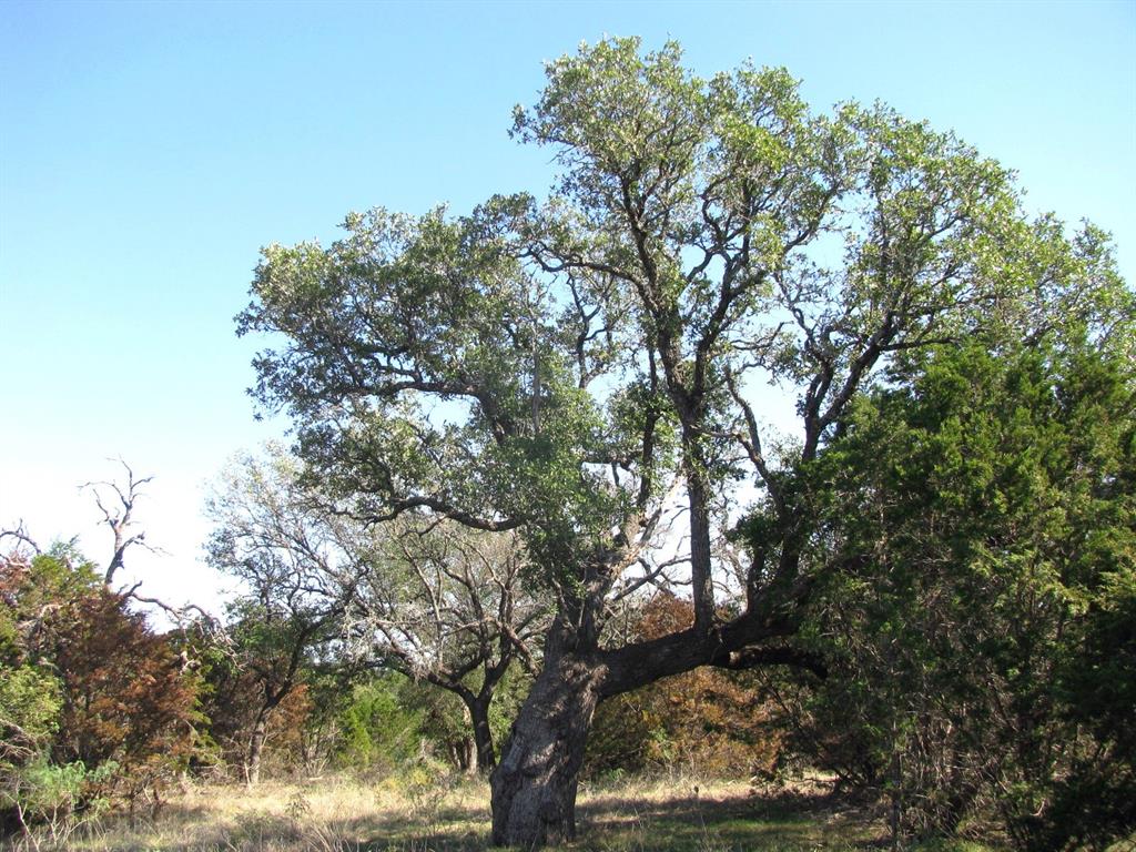 Rio Escondido - Land