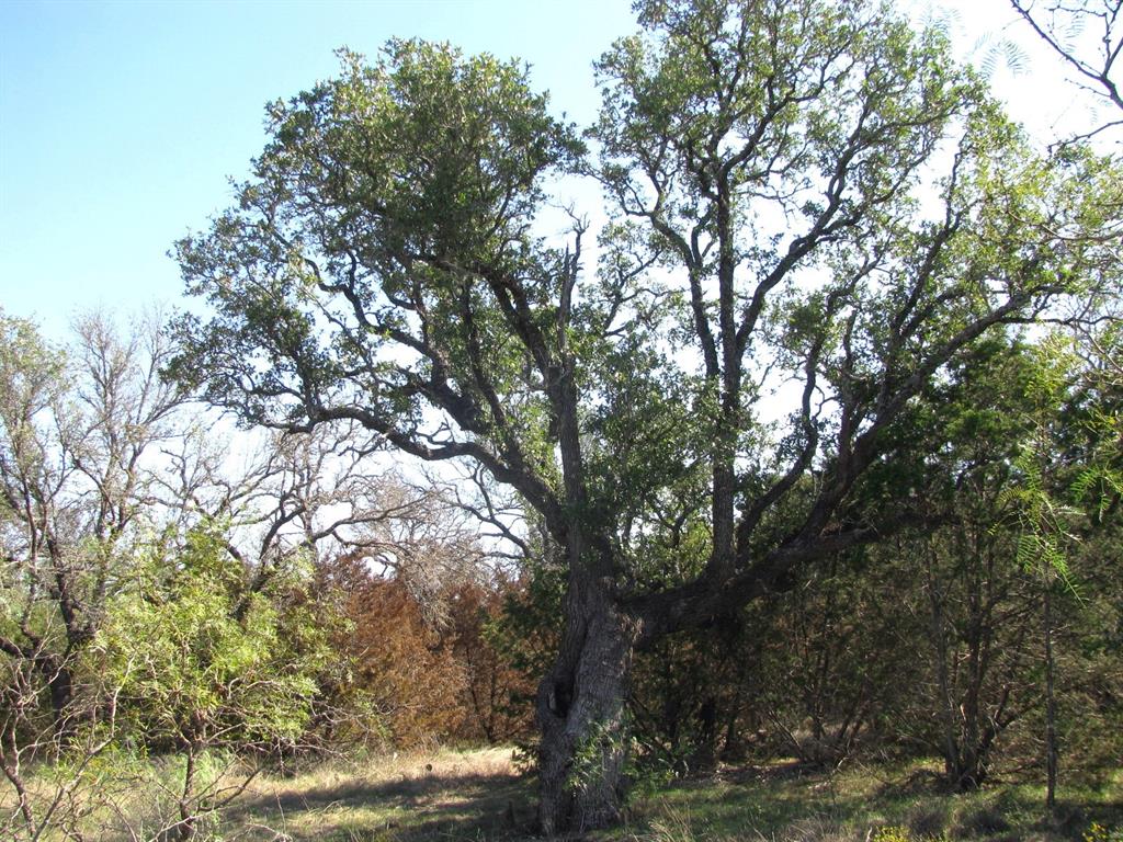 Rio Escondido - Land