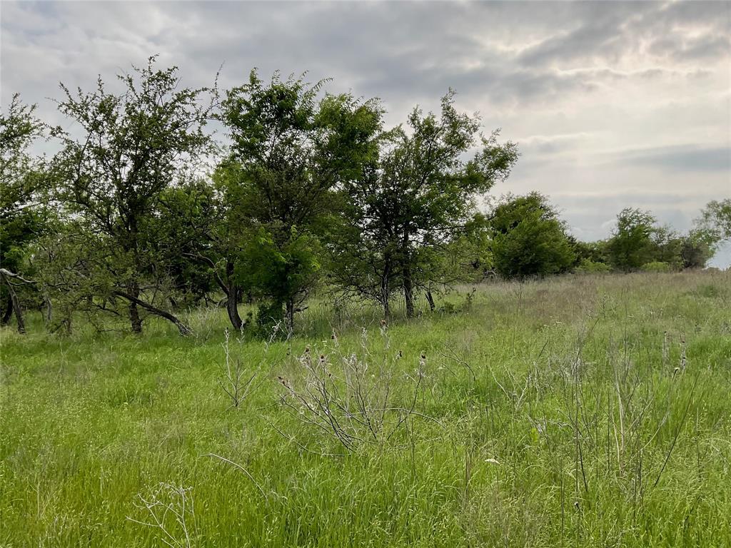 Loving Springs - Land