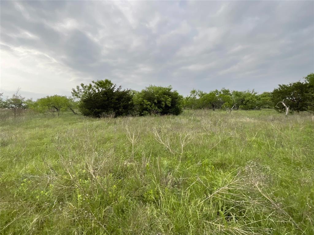 Loving Springs - Land