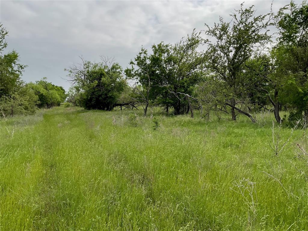 Loving Springs - Land