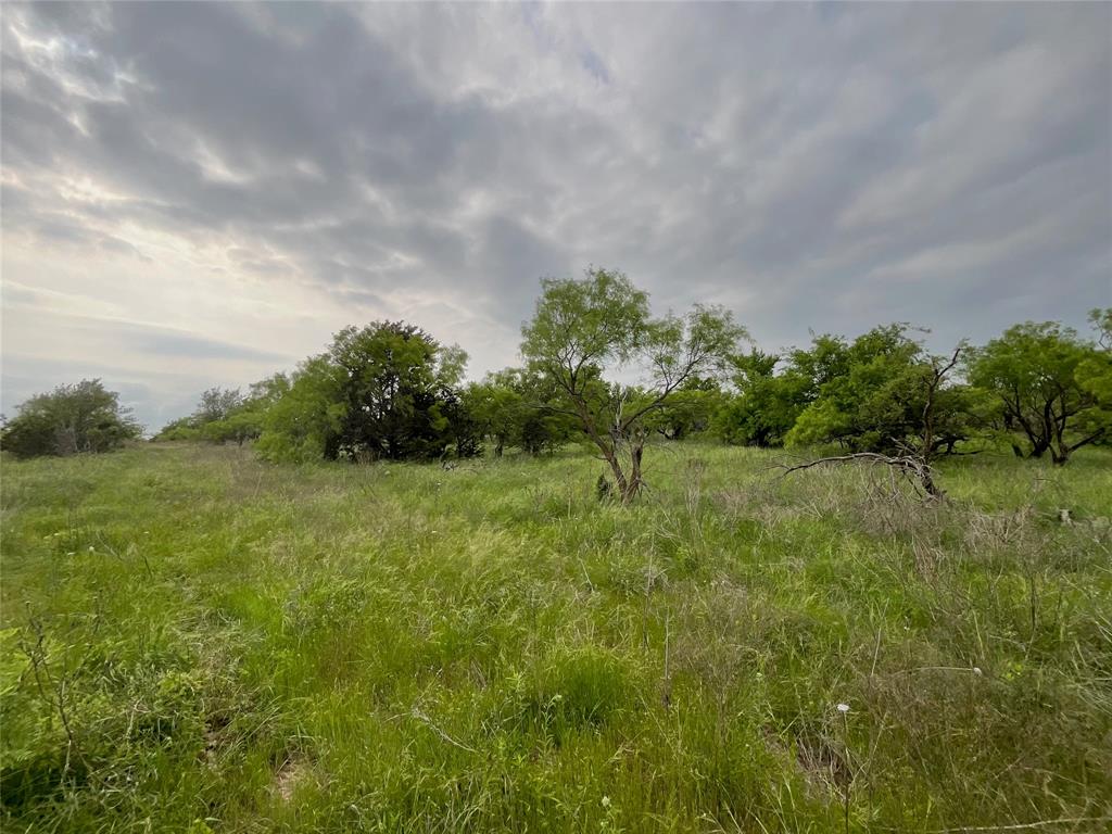 Loving Springs - Land