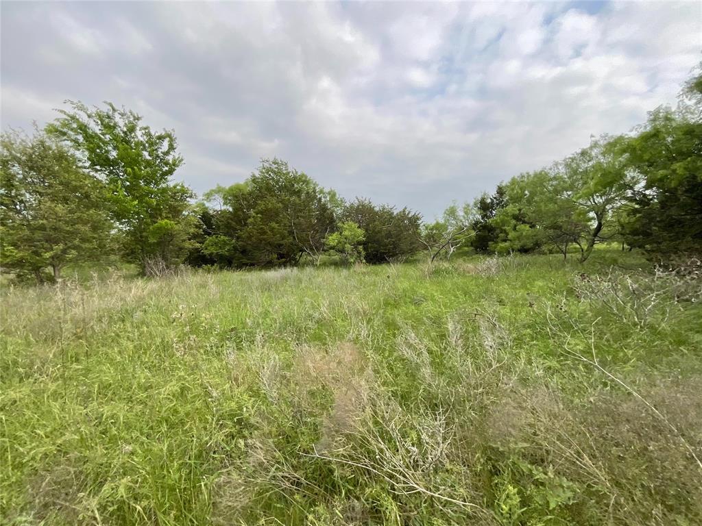 Loving Springs - Land