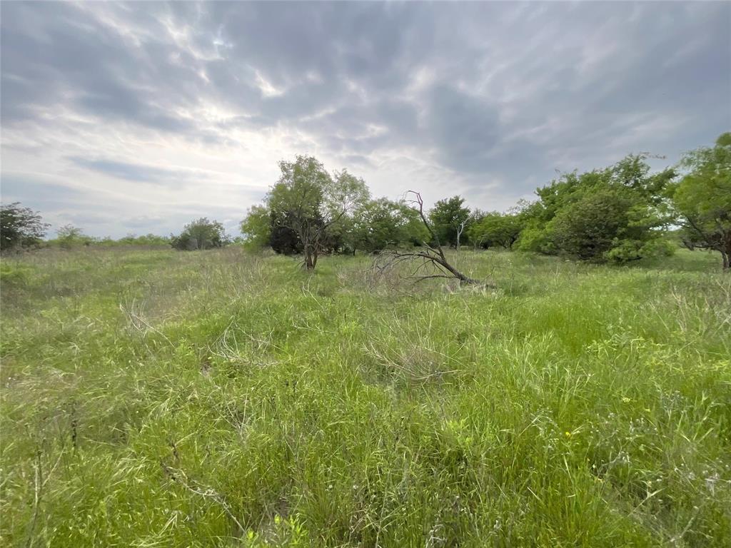 Loving Springs - Land