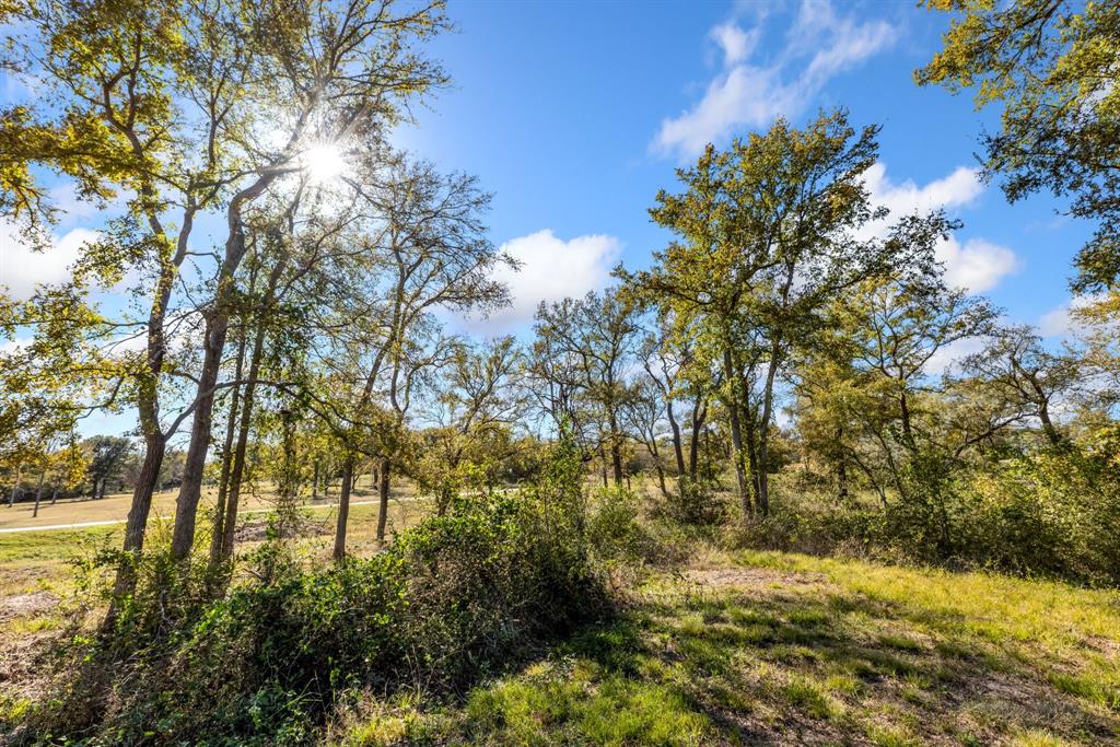 Diamond Point - Land