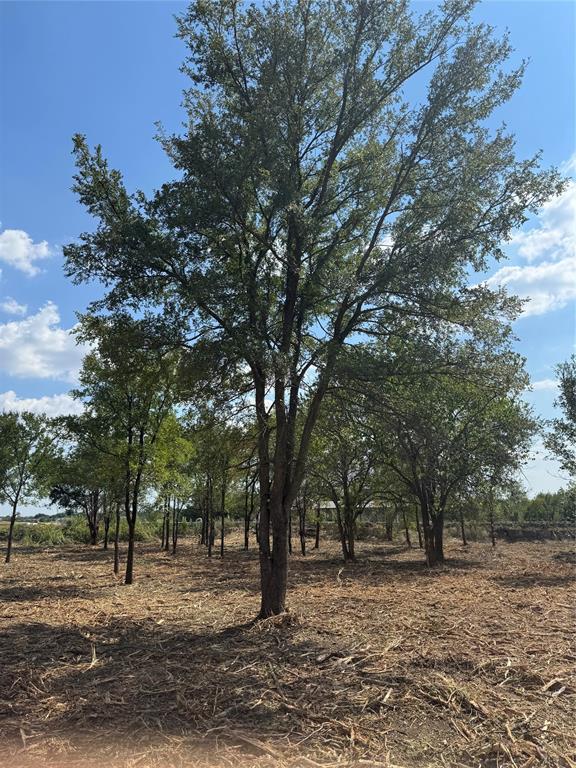 Hills of Kingswood - Land