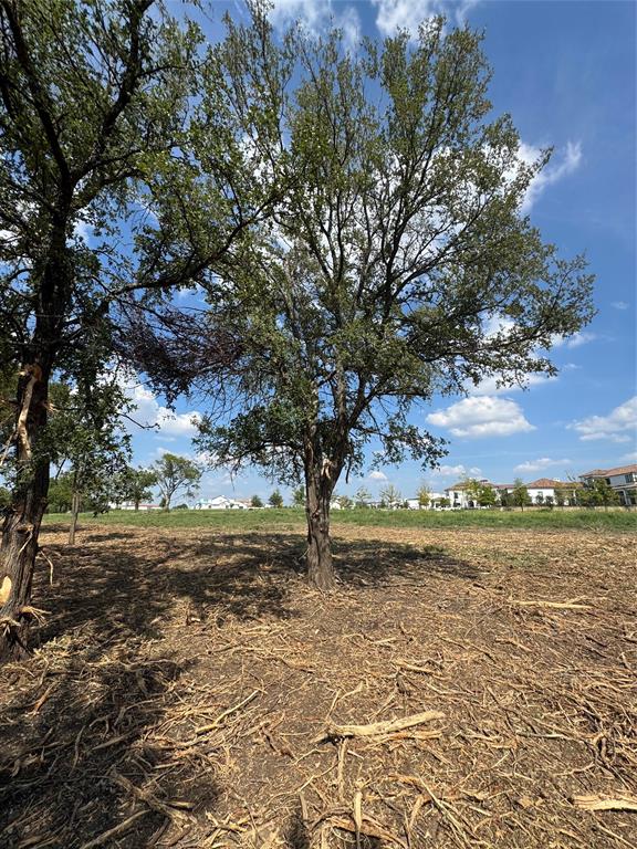 Hills of Kingswood - Land