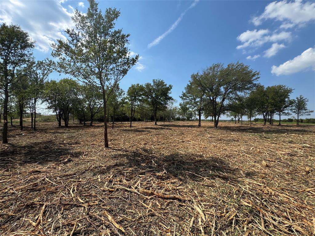 Hills of Kingswood - Land