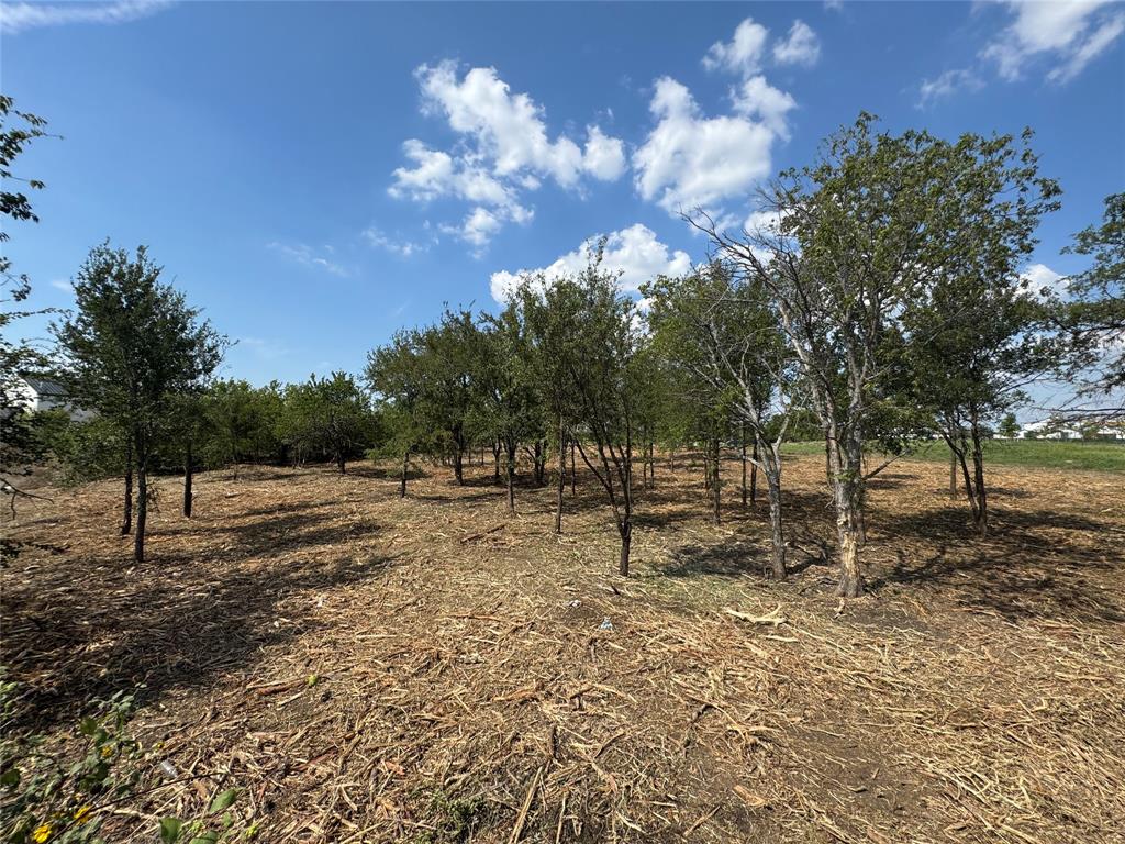 Hills of Kingswood - Land