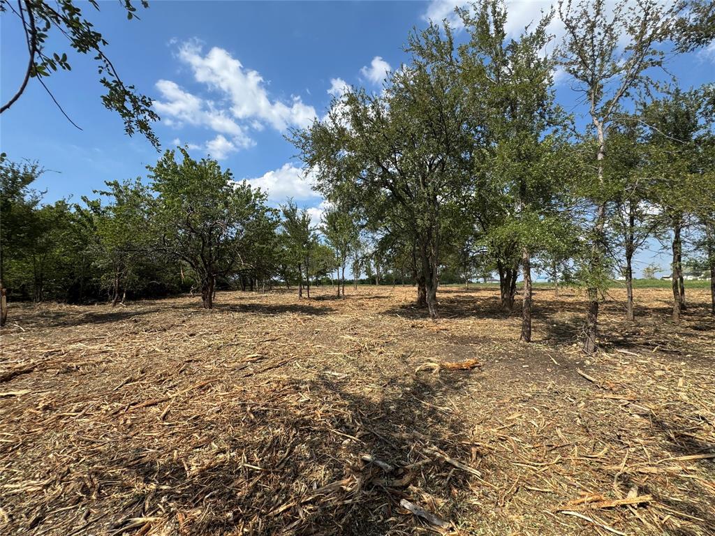 Hills of Kingswood - Land