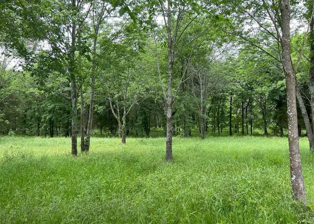 Nautical Shores Ph 3 - Land