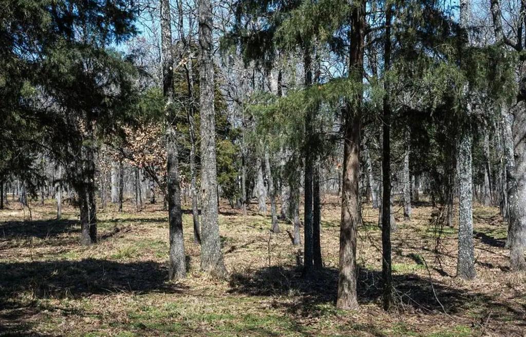 Nautical Shores Ph 3 - Land