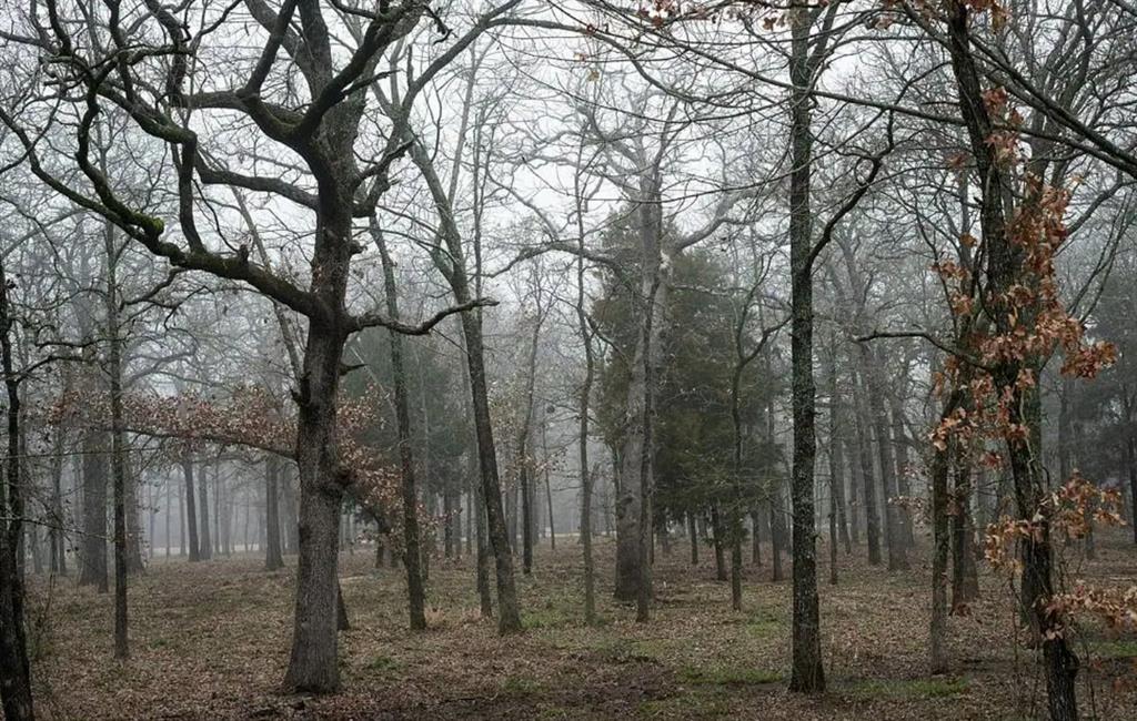 Nautical Shores Ph 3 - Land