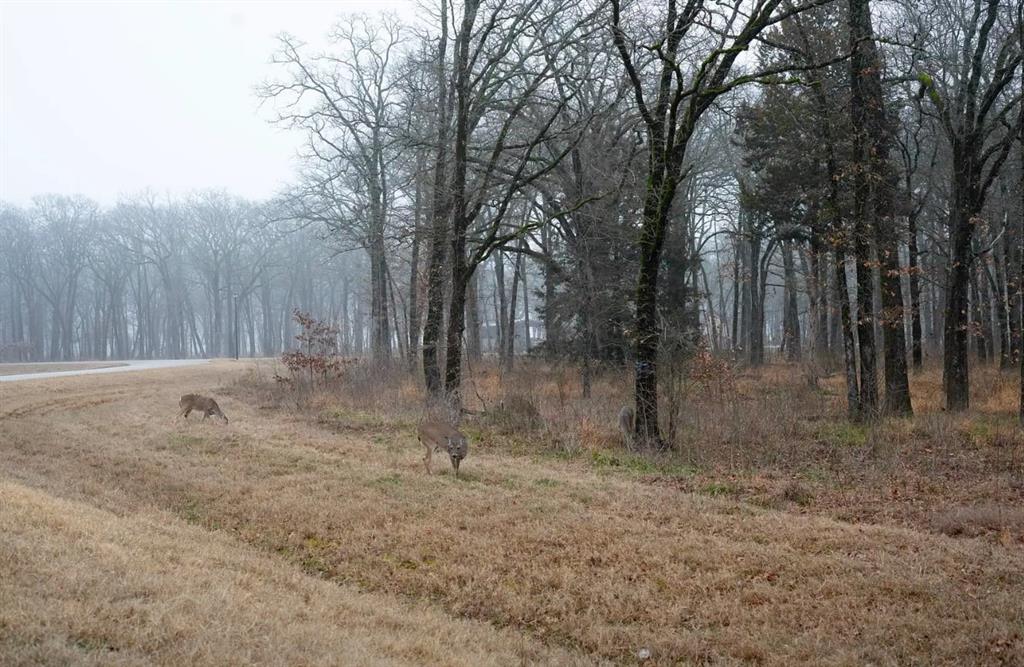 Nautical Shores Ph 3 - Land