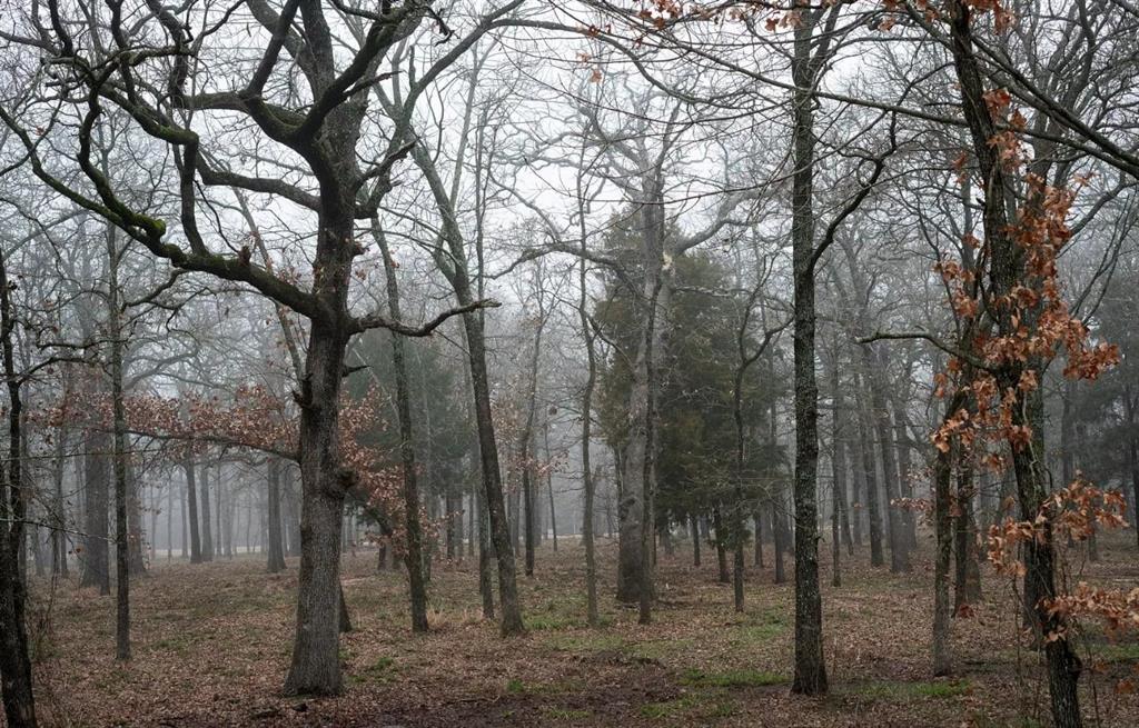 Nautical Shores Ph 3 - Land