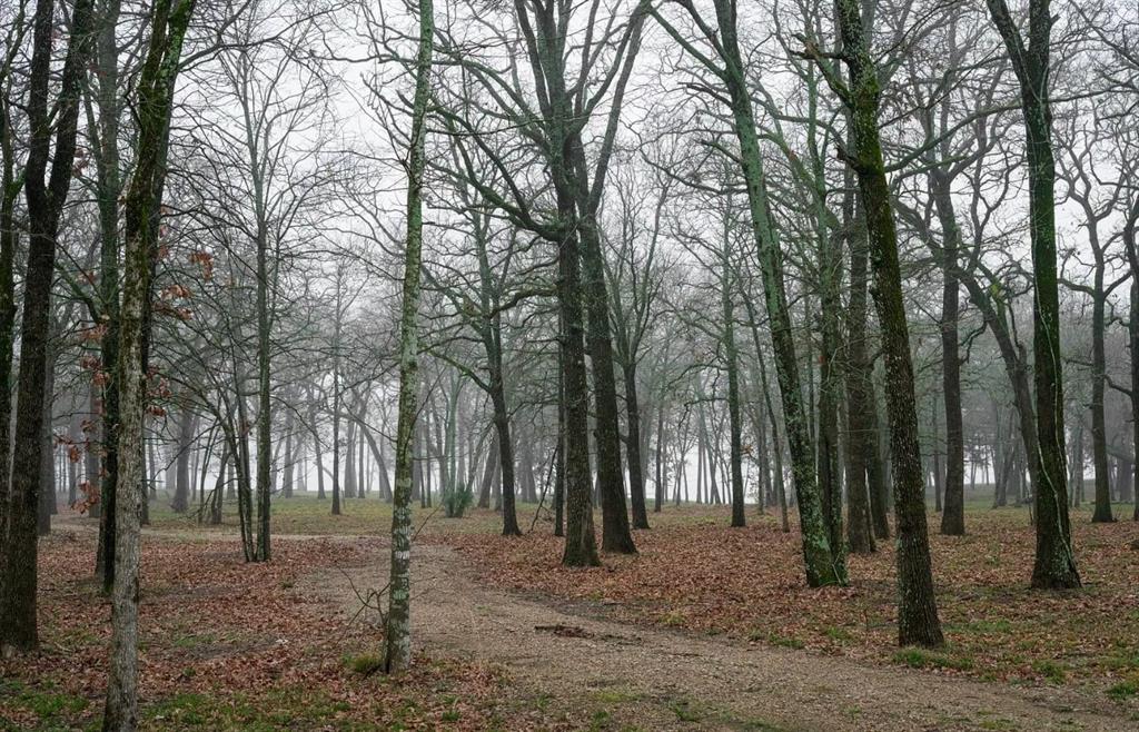 Nautical Shores Ph 3 - Land