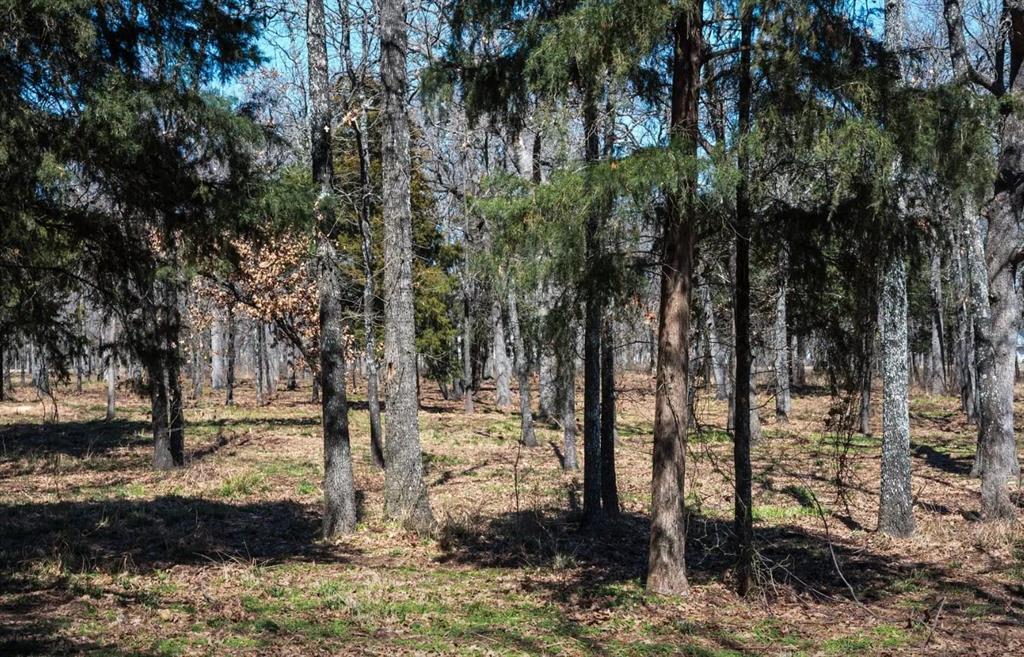 Nautical Shores Ph 3 - Land