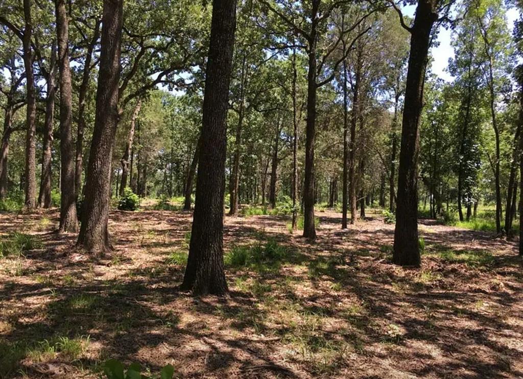 Nautical Shores Ph 3 - Land