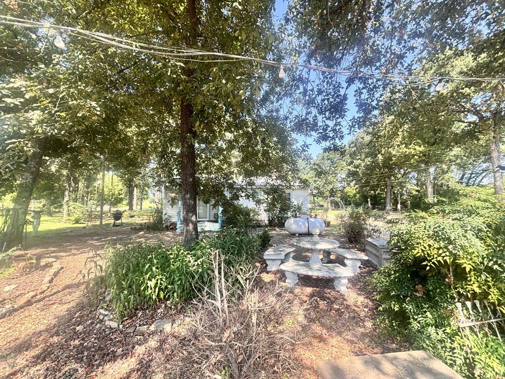 502 Peach Tree Road