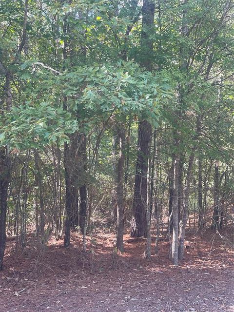 0 Ferry Lake Tract B Oil City LA 71061