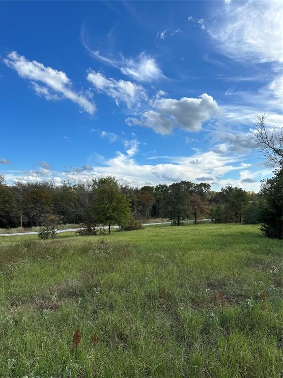 The Ranches at Blackjack Mdws - Land