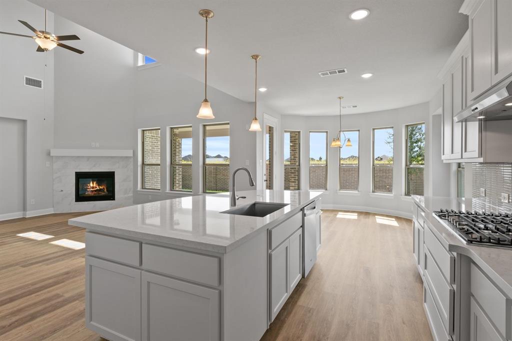 South Pointe - Residential