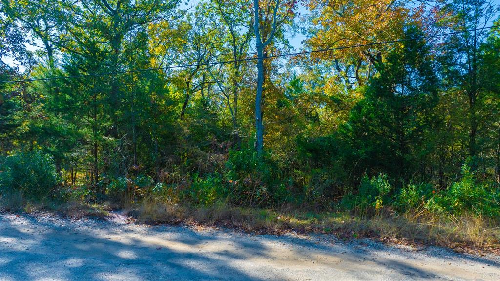 Hickory Hills II - Land