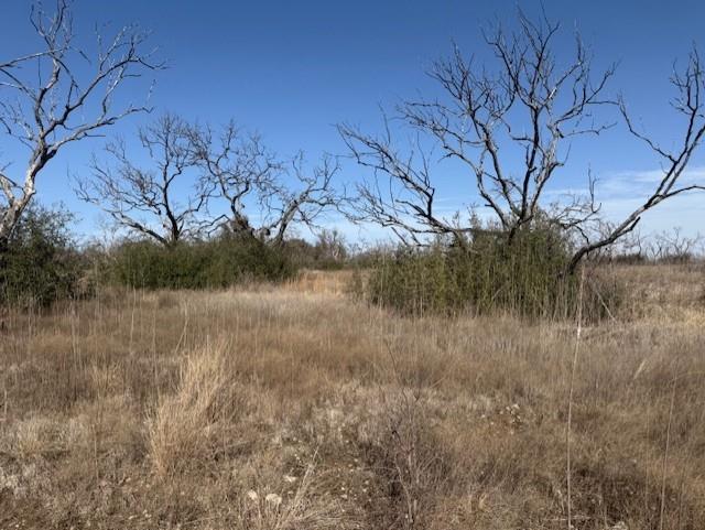 12.03 Acres Galveston County School Land Abst. 37 - Land
