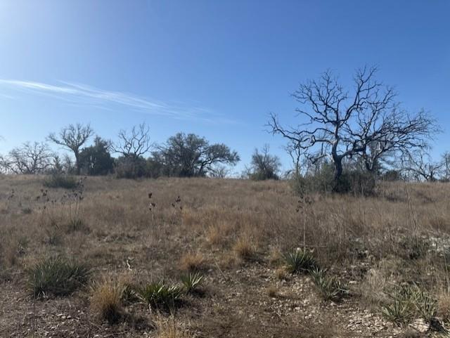12.03 Acres Galveston County School Land Abst. 37 - Land