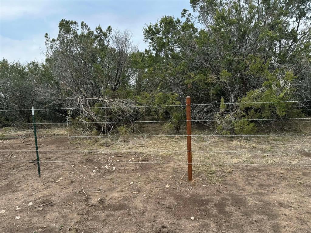 TINDALL WILLIAM M - Land