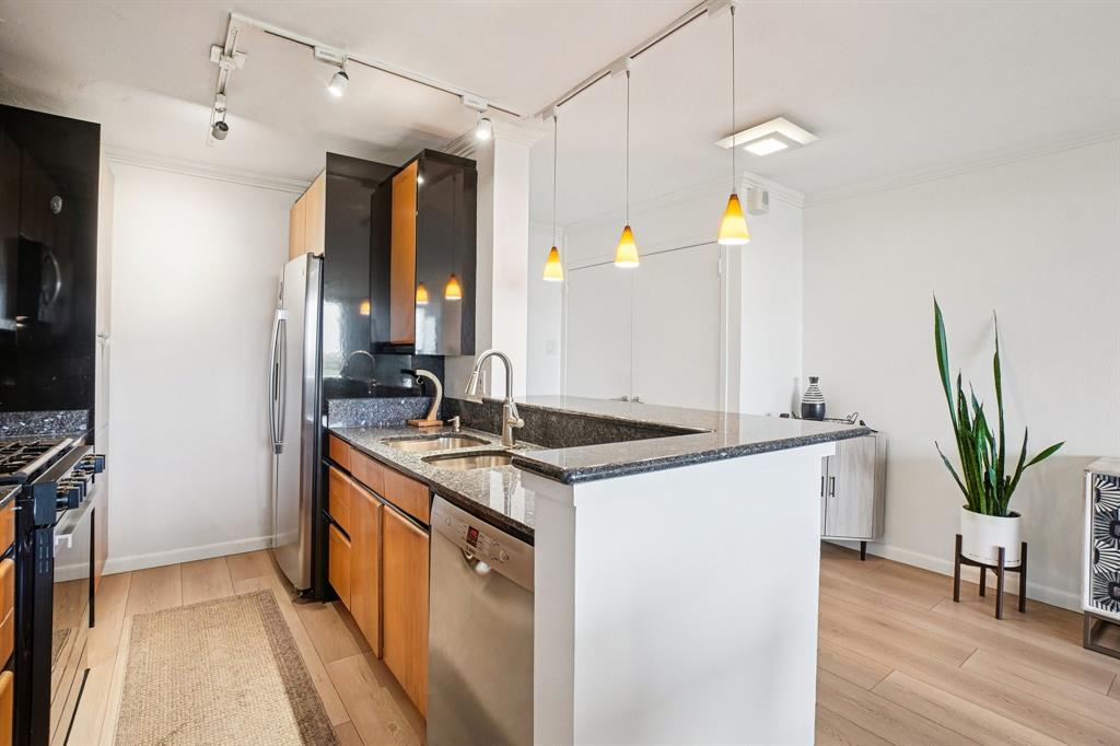 Twenty 1 Turtle Crk Condo - Residential