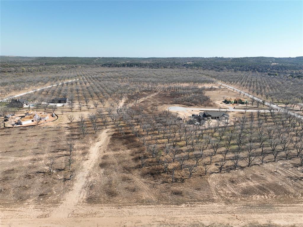 Pecan Plantation - Land