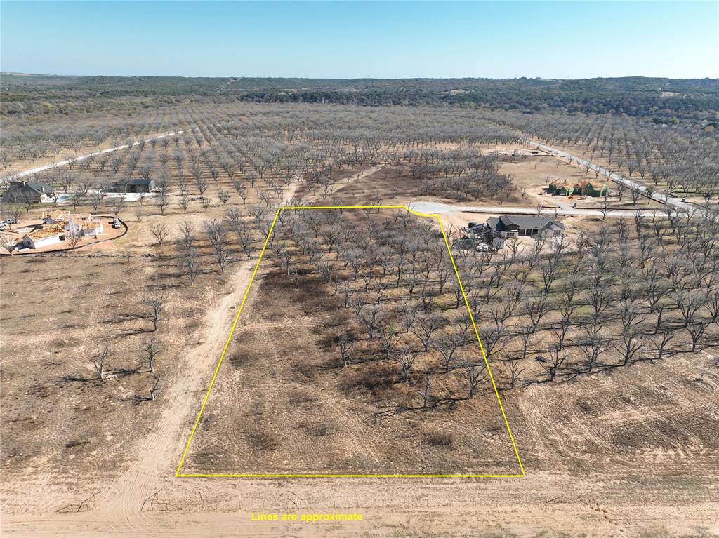 Pecan Plantation - Land