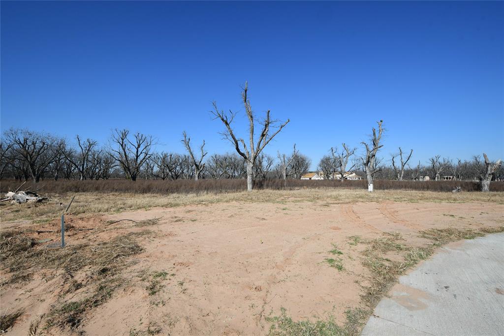 Pecan Plantation - Land