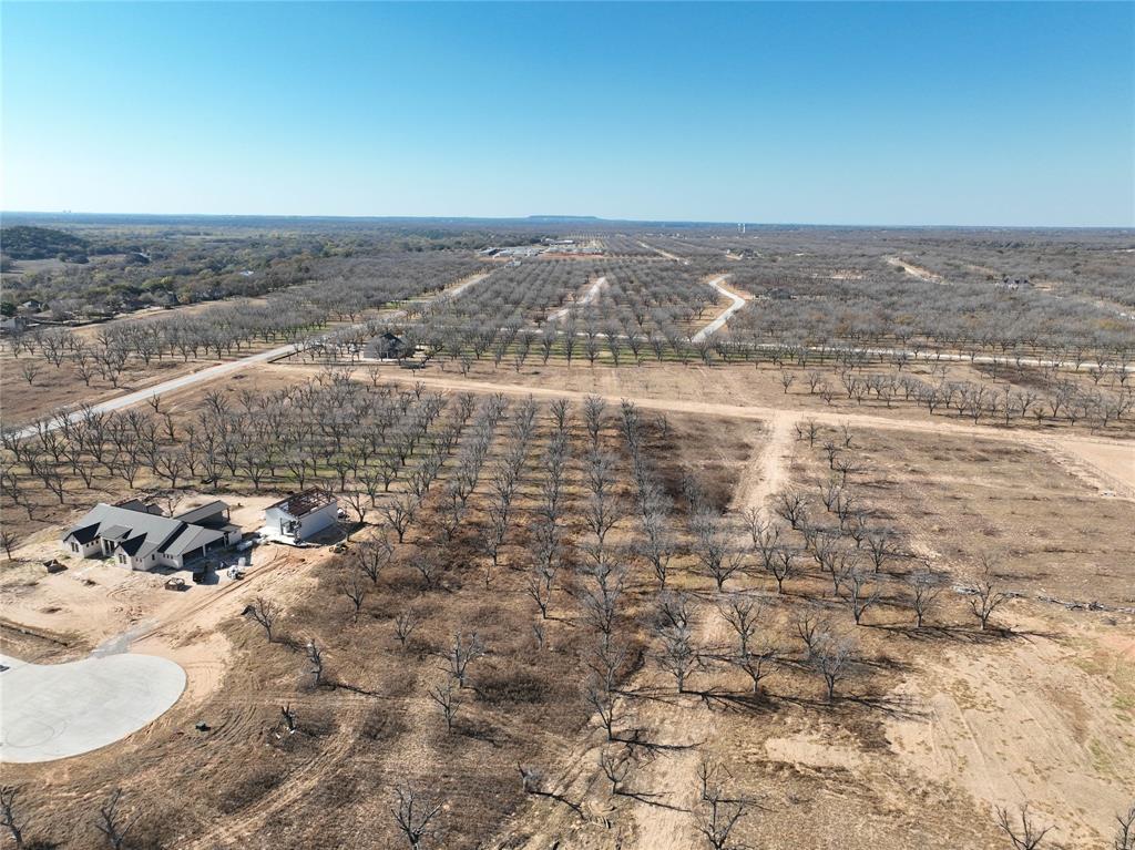 Pecan Plantation - Land