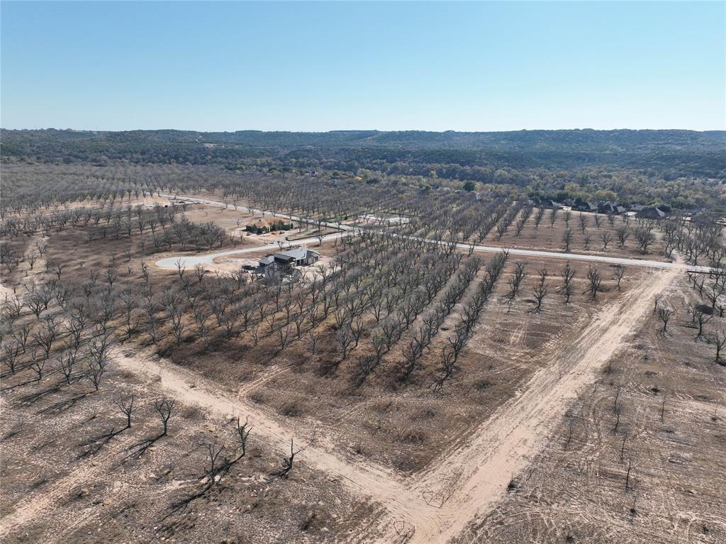 Pecan Plantation - Land