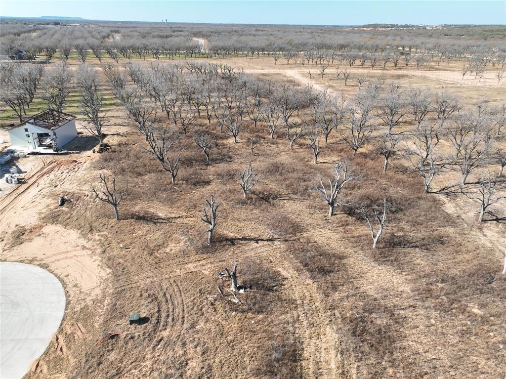 Pecan Plantation - Land