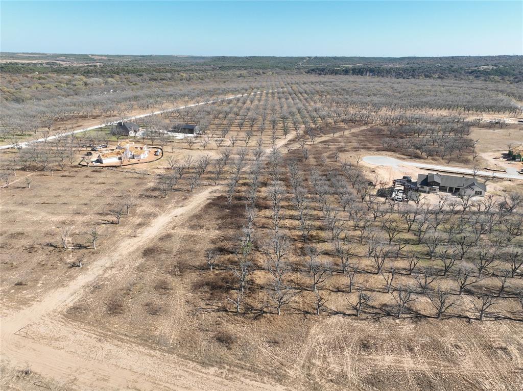 Pecan Plantation - Land