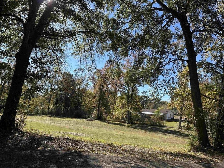 Purchase these three lots and own almost an acre, right in the heart of Mt. Pleasant. These lost offer a great opportunity to build a dream home or to build smaller homes as an investment or rental opportunity! Call for a visit today!