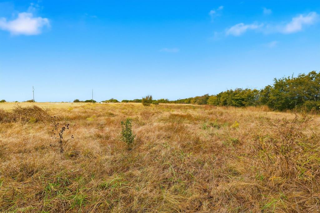 Steward Acres - Land