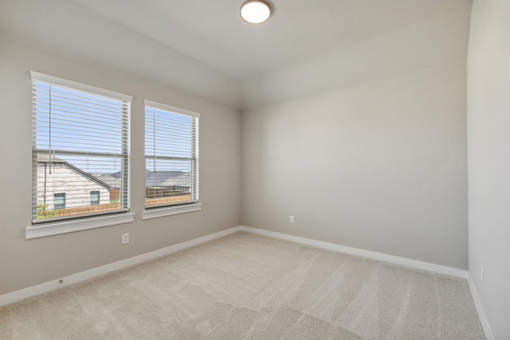 Painted Tree - Residential