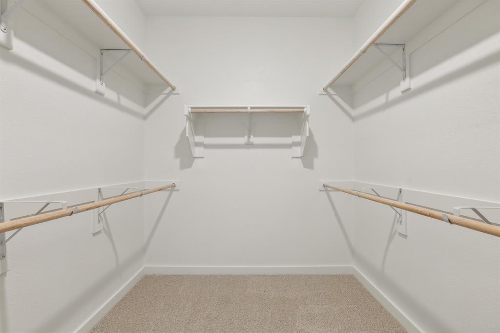 Painted Tree - Residential