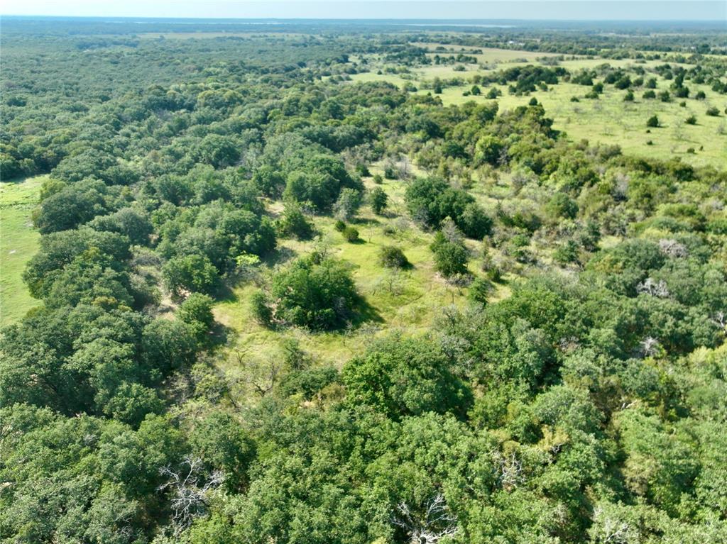 Navarro County - Land