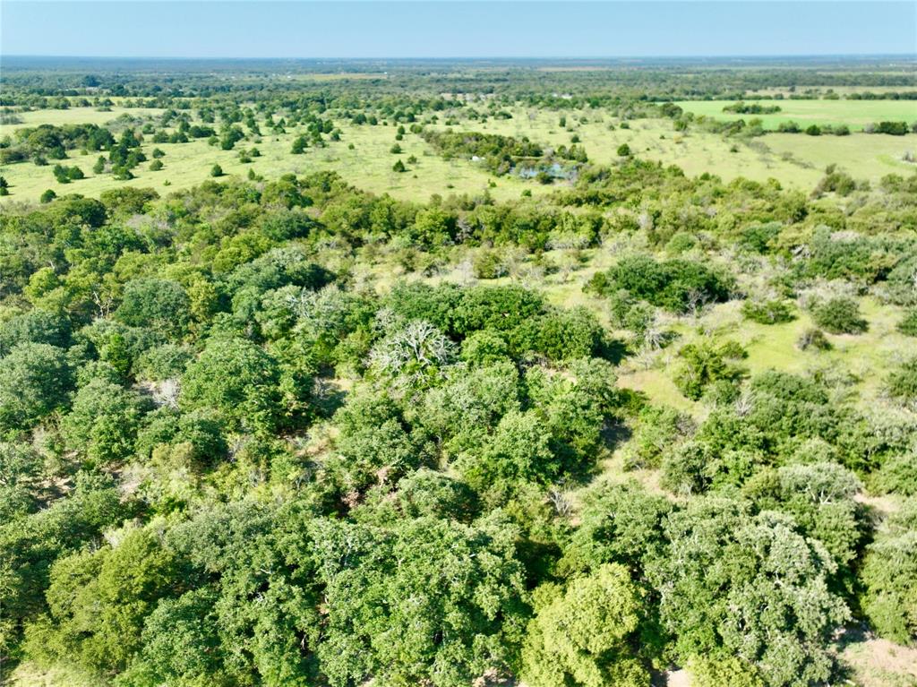 Navarro County - Land