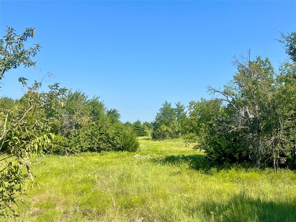 Navarro County - Land